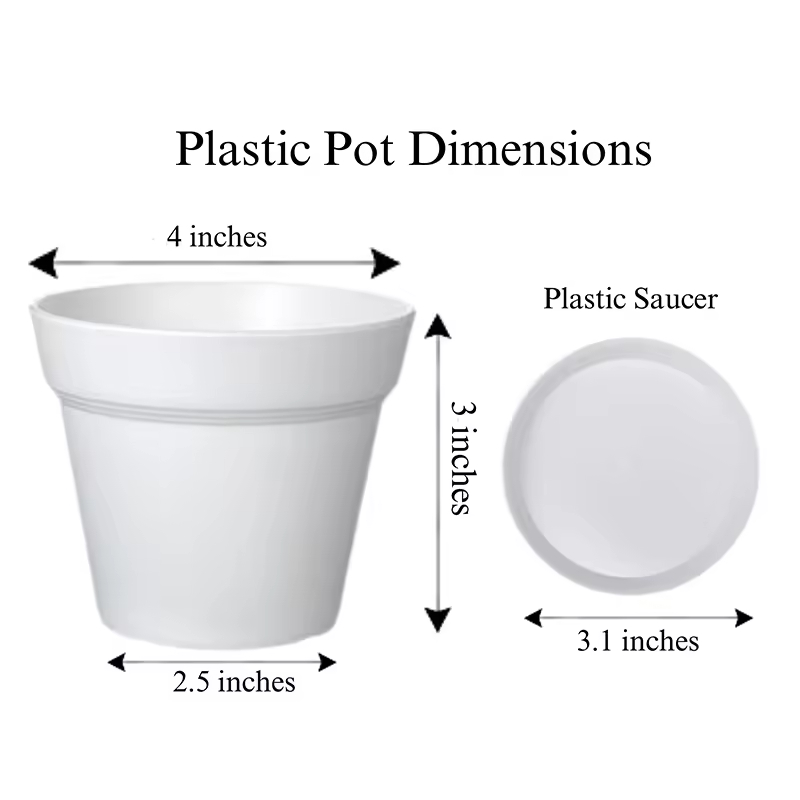 Wholesale Custom Large Wood Rectangle Digital Printing Modern Wedding Decor Wall Hanging Home Decor at Bulk Price