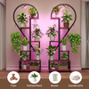 Single Tiered Metal Wood Wall Mounted Multifunctional Plant Stand Grow Lights Rectangle Shape Plant Rack Bookcases Bookshelves