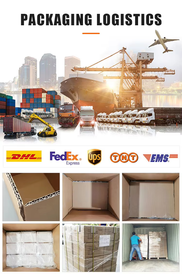 OEM ODM Single Tier Heavy Duty Laundry Basket Wheels Modern Design Collapsible Multifunction for Bathroom Kitchen Food Storage