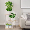 8-Tiered Metal Indoor Plant Stand with Grow Light 65\" Tall Bookcases & Bookshelves for Multiple Indoor Plants